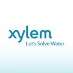 Xylem