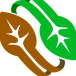 Profile picture of American Center for Life Cycle Assessment